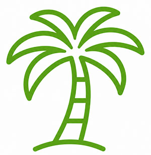 Palm-Beach Palm Beach
